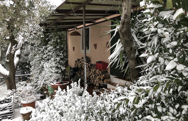 Agriturismo Podere Marchiano - Foto 74