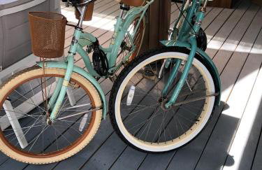 St Pete Modern Retro Oasis - Foto 12