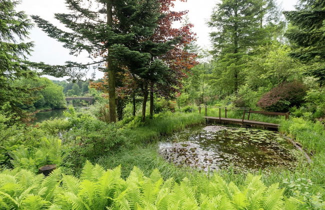 Spacious Cottage in Robertville With Swimming Pool - Foto 29