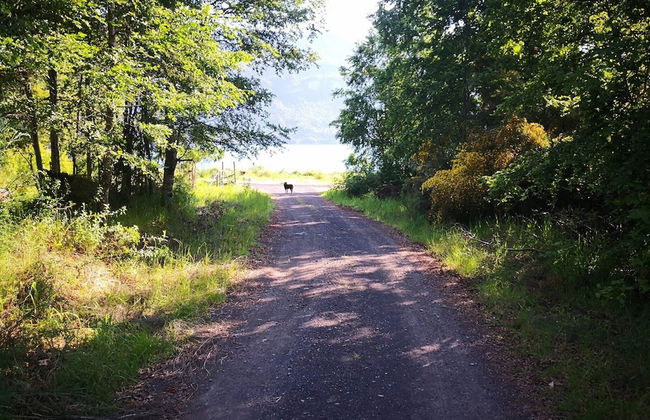 Loft Canelo - con hot tub Exclusivo, Cercano a Termas y Lago - Foto 17