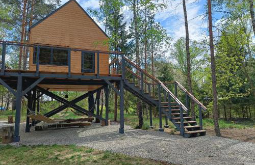 Zdalnie z Lasu - Siedlisko w Puszczy Białowieskiej - Foto 24