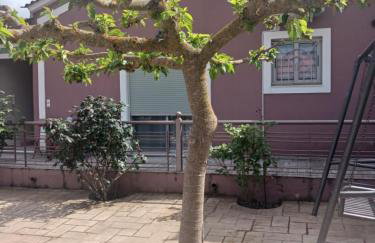 Village perfume - Photo 39