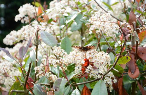 The White House with Studio - Photo 31