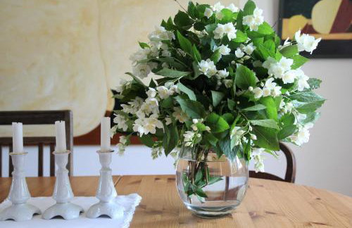 Dom Nałęczowski - Foto 5