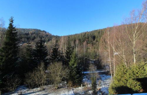 Home-im-Harz - Foto 24