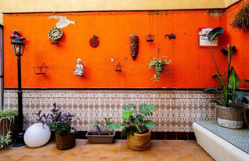 El Cerro Bermejo - Foto 22