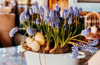 Domek Stu Wiosen - Beskid Niski - Foto 37