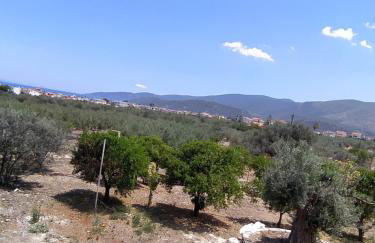 Baitani villa - Foto 12