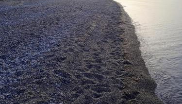 I giardini del castello 5 - Foto 5