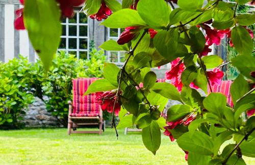 Les Maisons de Marie - Foto 18