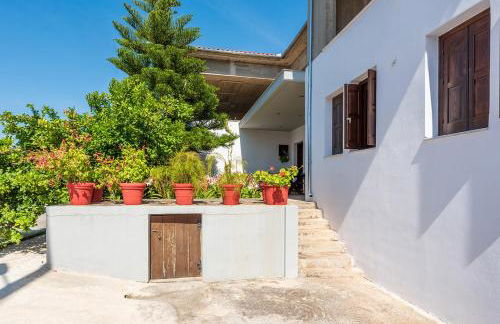 The backyard- Κατοικία στην Αγριά, Βόλου - Foto 27