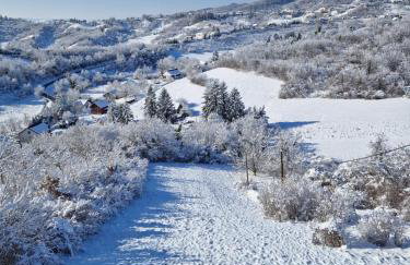 Deja View - Photo 10