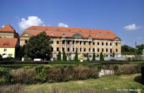 M.S. Piccolo - Foto 12