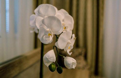 Luxury Apartments White Villa Violeta - Photo 42