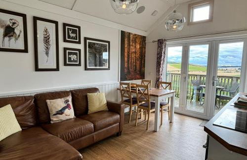 Badger Lodge with Hot Tub - Foto 4