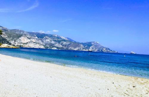 Saint Jean Cap Ferrat grand Studio avec terrasse - Foto 14