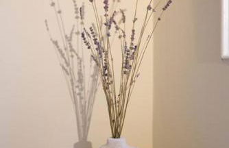 Entire rowhouse in Capitol Hill with free parking - Foto 36