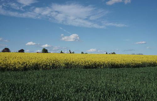 Ferienwohnung Reimann mit kostenloser AlbCard - Foto 13