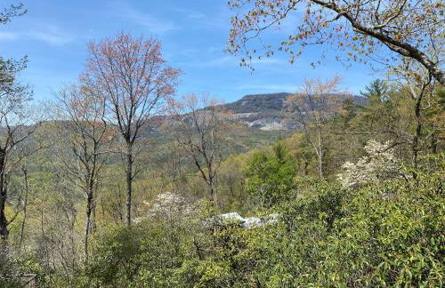 Million Dollar Mountain Views with Private Hot Tub! - Foto 5