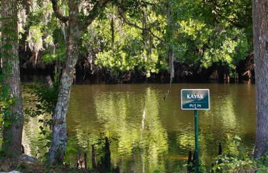 Wise Owl Retreat on the River - Foto 6