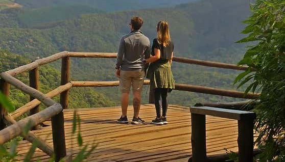 Tour di Monte Verde in 4x4 - Foto 2