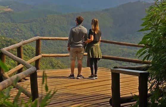 Tour de 4x4 por Monte Verde - Foto 2