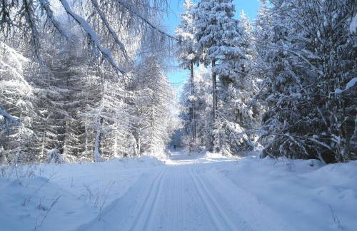 Ferienwohnung Blaumeise - Foto 76