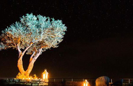 Villa Horizon - Photo 8