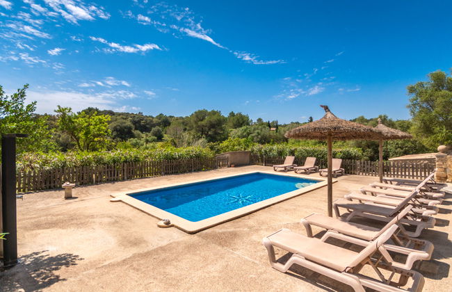 Capella Rubi - Photo 34