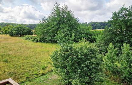 Wohnanlage "Am Grün" Seelenbaumler - Foto 3