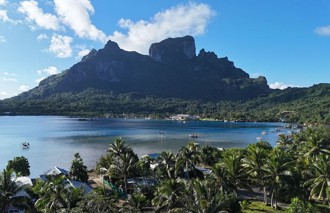 Tiki Ora Lodge - Foto 36