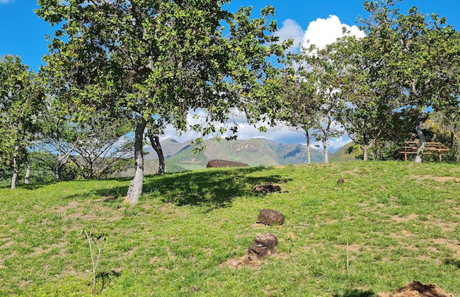 Cabañas Vacacionales Pa Lo Alto - Foto 17