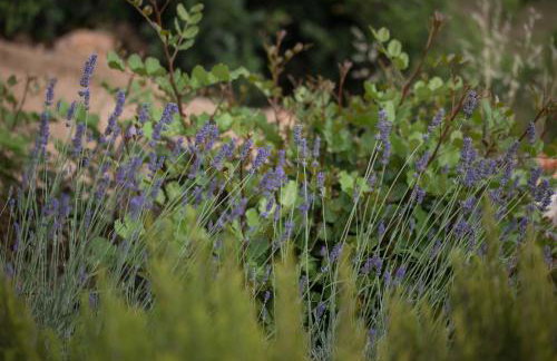 Villa Ella - Foto 26