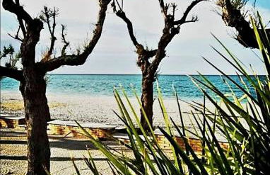 Agrumeto Costa dei Trabocchi - Foto 27