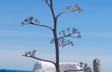 Isleta apartamento con terraza, vistas y WIFI - Foto 14