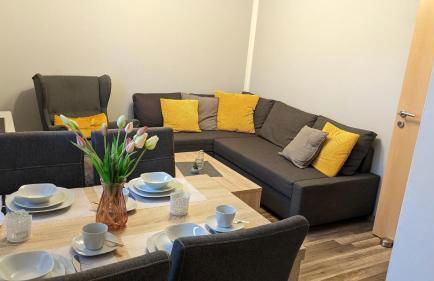 Ostfriesland für Familie und Haustier - Foto 1