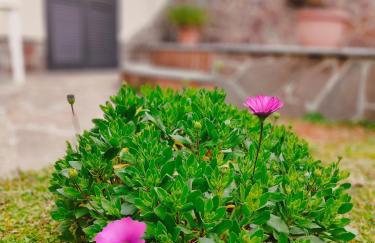 Maison Margot - Giardino e parcheggio privato - Foto 35