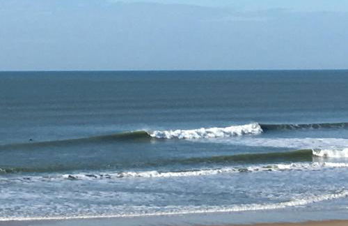 La Maison des Jardins - Photo 41