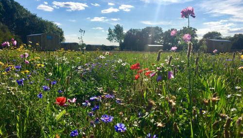 Shepherds Hut 6 - Foto 2