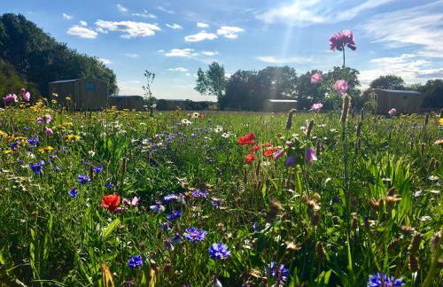 Shepherds Hut 6 - Foto 2
