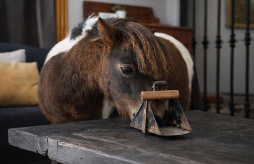 heart & ponie - Retiro Rural Privado con Piscinas - Foto 43