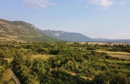 Trohi Homes - Soulful Istrian Hideaway - Foto 31