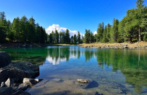 Apartment Viktoria - Foto 42