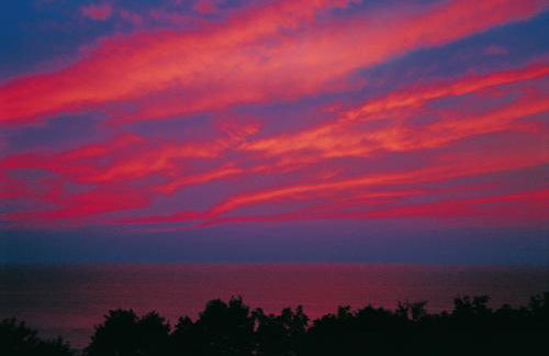 Appartements Am Reiterhof Seepferdchen - Foto 22