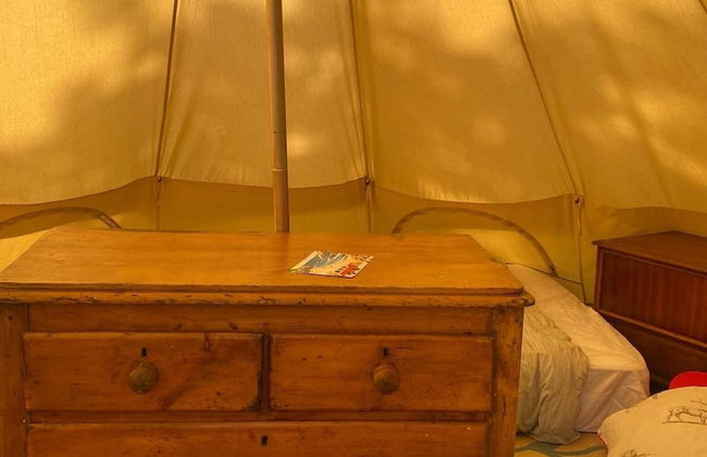 Elm - Bell Tent 2-4 Person Anglesey, North Wales - Photo 2