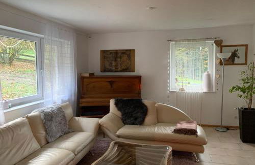 Wonderworld - Foto 18