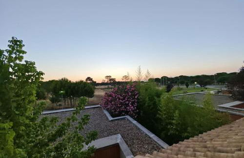 Marel Valladolid - Foto 36