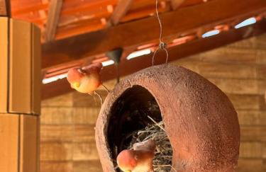 Lugar para descansar com a familia - Foto 36