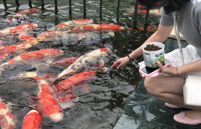 Pine Forest - Photo 41