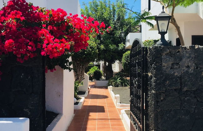 Apartamentos Maribel - Foto 22